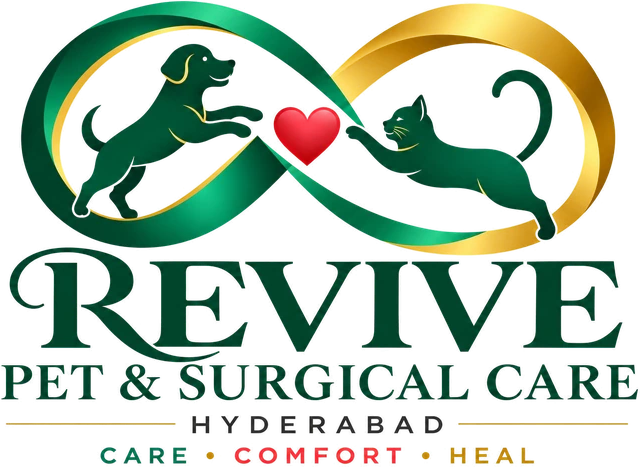 Revive Pet & Surgical Care — Hyderabad · Care · Comfort · Heal
